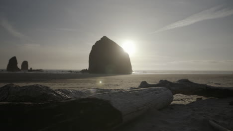 Panning-medium-shot-of-a-wooden-log-with-Haystack-rock-in-Background,-sunny-day,-Cannon-beach,-Oregon