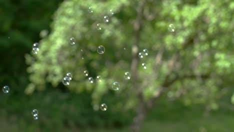 Soap-bubbles-floating-in-air