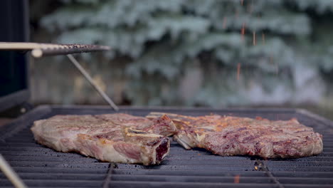 Seasoning-steaks-on-a-barbecue-with-spices-in-slow-motion