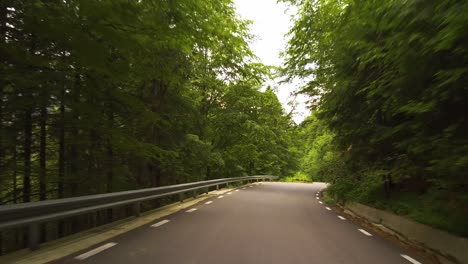 Conduciendo-Por-Una-Carretera-Sinuosa-A-Través-De-Un-Bosque-Con-Grafiti-En-La-Pared-Lateral,-Montañas-De-Bucegi,-Rumania