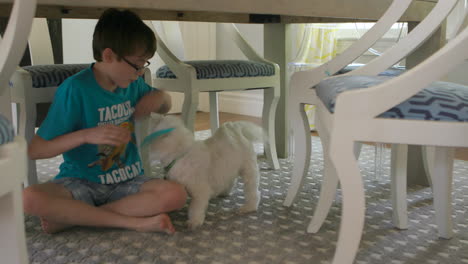 Cute-little-boy-tries-to-hug-his-dog-under-the-dining-room-table
