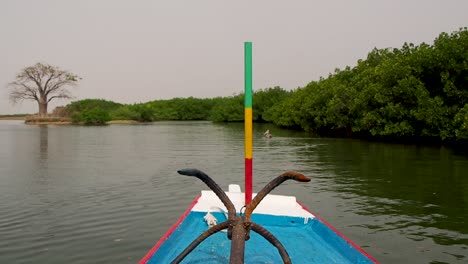 Paseo-En-Barco-Por-El-Río-En-El-Sur-De-Senegal