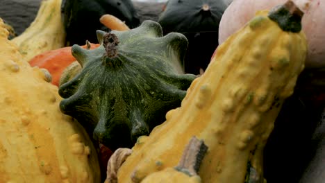 Slow-motion-pan-of-pumpkin-and-gourd-autumn-display