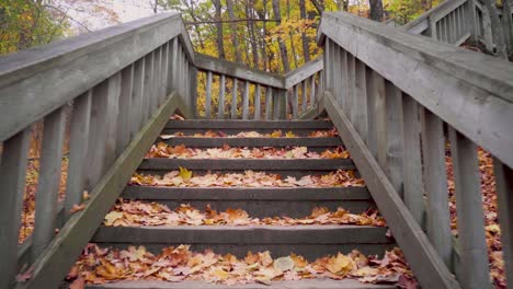 Walking-up-the-stairs-of-a-board-walk-and-then-looking-right-over-people-and-towards-a-lake-in-the-late-autumn-in-Quebec