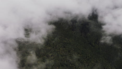 Window-in-clouds-showing-green-forest-underneath,-Aerial-shot,-Slovakia