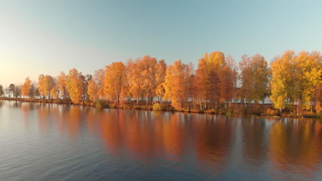 Flying-over-a-calm-lake-towards-beautiful-yellow-trees-in-october