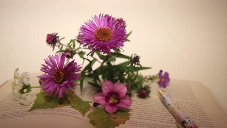 Close-Up-of-Flowers-and-Pen-on-the-Book