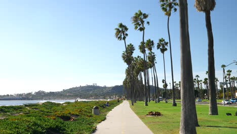 Tilting-down-in-slow-motion-from-the-palm-trees-to-a-bike-path-along-the-sunny-beach-city-of-Santa-Barbara,-California