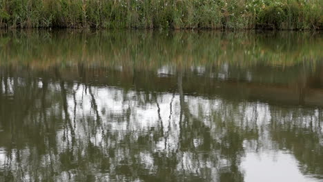 Regen-Auf-Einem-Bewölkten-Fluss-Mit-Reflexionen-Von-Gummibäumen-In-Australien