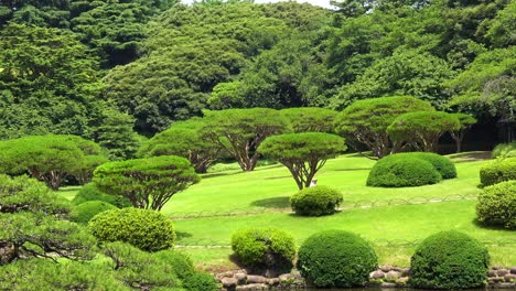 The-view-of-walking-people-in-shinjuku-gyoen-national-garden