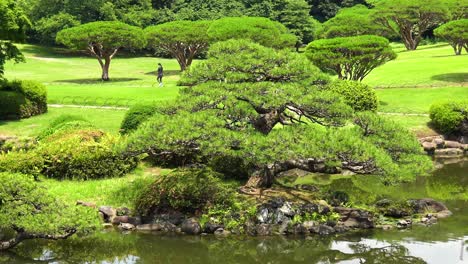 La-Vista-Del-Lago-Con-El-Reflejo-Del-árbol-En-El-Jardín-Nacional-Shinjuku-Gyoen