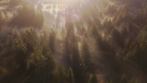 Aerial-view-of-warm-Sunbeams-shining-through-mist-in-forest,-variation-with-flare