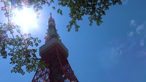 Zeitraffer,-Blick-Auf-Den-Tokyo-Tower-Von-Unten-Mit-Strahlender-Sonne-Und-Baum