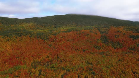 Aerial-footage-pushing-in-towards-the-side-of-a-mountain-in-peak-autumn-foliage