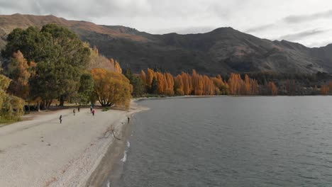 Aerial-Drone-view-of-the-shore-and-Lake-Wanaka,-New-Zealand-in-autumn