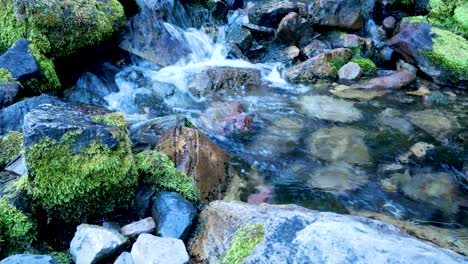A-beautiful,-clear-mounting-stream-flowing-over-mossy-rocks-inthe-early-monrning