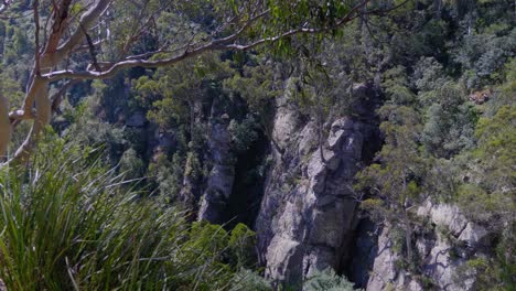 Der-Canyon-Und-Die-Klippen-Bei-Agnes-Falls-Im-Süden-Von-Gippsland,-Australien