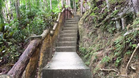 Huge-staircase-in-Bohol-island-in-the-Philippines