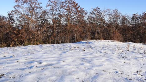 Hochkippaufnahmen-Mit-Schnee-Auf-Dem-Boden-Und-Bäumen-Ohne-Blätter-In-Dieser-Wintersaison