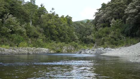 SLOWMO---Beautiful-pristine-blue-clear-Pelorus-river,-New-Zealand-with-rocks-and-native-lush-forrest-in-background
