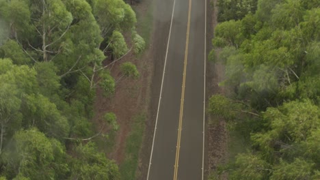 4k-aerial-decent-through-forest-road-in-Hawaii