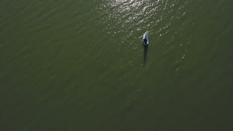 Aerial-shot-of-a-sail-boat-sailing-on-the-water