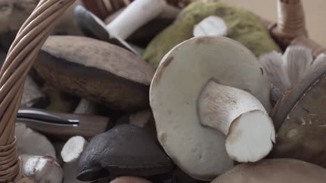 Handheld-shot-of-mushrooms-in-a-basket