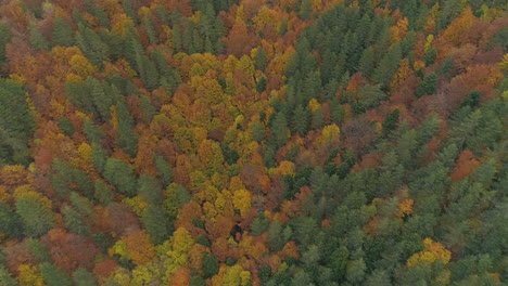 Luftaufnahmen:-Über-Einem-Balkanwald-Fliegen