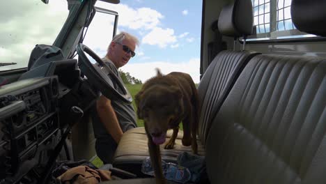 A-shot-from-inside-a-pick-up-truck-of-a-kelpie-sheep-dog-jumping-into-the-cabin-in-slow-motion