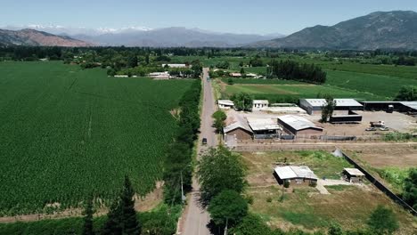 60-fps-drone-footage-of-a-nice-chilean-valey-landscape-full-of-vineyard