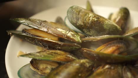 SLOWMO---Putting-fresh-cooked-New-Zealand-greenshell-mussels-on-a-plate-in-luxury-restaurant-kitchen---CLOSE-UP-detail