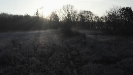 early-morning-winter-landscape,-trees-and-frost-covered-bushes,-rays-of-sunshine-in-backlight