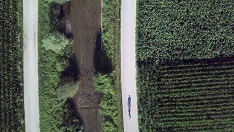 Aerial-top-view-above-a-biker-casting-a-long-shadow-in-Sugana-Valley,-Italy-with-drone-flying-forward