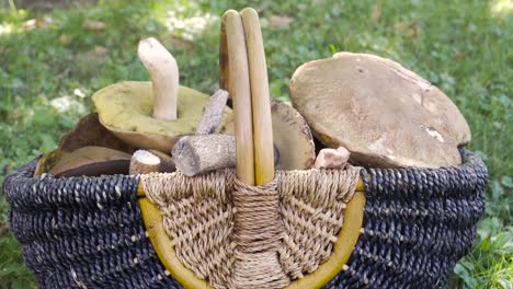 Tilt-up-to-a-basket-full-of-mushrooms