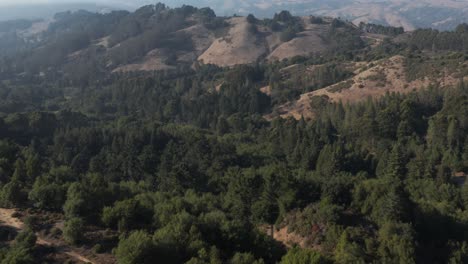 Berkeley-Hills-Luftaufnahme-Nordkalifornien