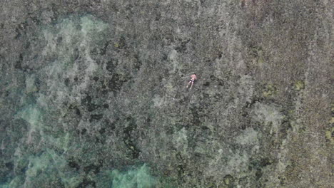 A-Man-Swimming-Alone-in-the-Shallow,-Crystal-Clear-Water-of-Ulawatu-Beach-in-Bali,-Indonesia,-High-Angle-Rising-Aerial-View