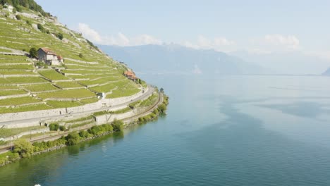 Aerial-shot-of-steepest-part-of-Lavaux-vineyard-terraces-going-all-the-way-to-Lake-Leman---Switzerland