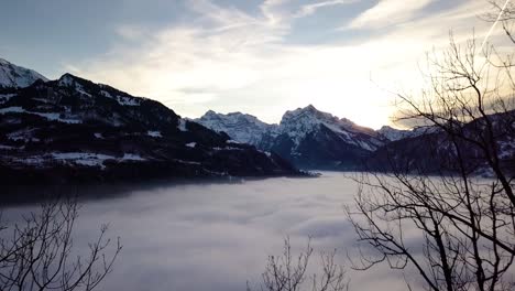 Pasando-Por-Algunos-árboles-Para-Mostrar-El-Hermoso-Paisaje-De-Niebla-En-Suiza