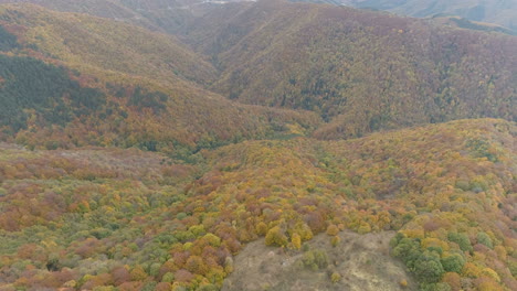 Aerial,-fly-over-vast-expanses-of-Balkan-woods-during-the-autumn