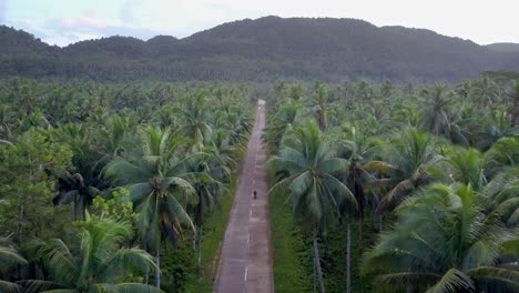 Aerial-tracking-shot-of-scooter-driving-on-palm-tree-lined-road-with-green-hill-in-the-horizon-in-afternoon-on-Siargao,-the-Philippines
