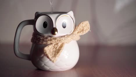 Cute-small-macro-owl-mug-closes-eyes-after-pouring-hot-water
