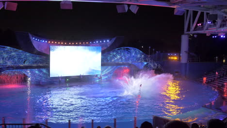 Zwei-Killerwale-Führen-Bei-Einer-Nachtshow-Im-SeaWorld-In-Orlando-Gleichzeitig-Einen-Hochfliegenden-Frontflip-Aus,-Zeitlupe