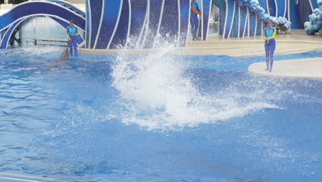 A-Dolphin-Performs-a-High-Flying-Front-Flip-at-a-SeaWorld-Show,-Slow-Motion