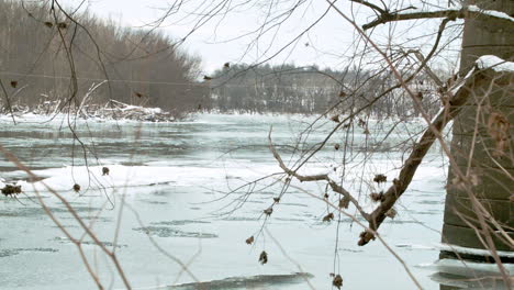 Baumzweige-Hängen-Herab,-Mit-Verschneitem-Fluss-Im-Hintergrund