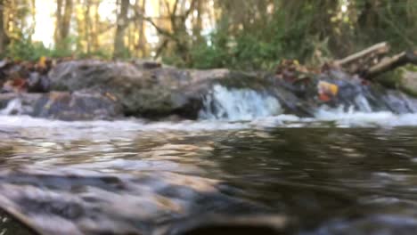 Underwater-video-of-a-small-stream-when-flows-over-the-rocks