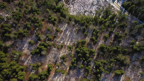 TOP-DOWN-aerial-shot-of-a-forest-with-long-shadows-after-a-late-fall-snow
