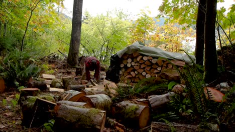 Chopping-and-stacking-firewood-in-a-rainforest-in-BC-with-an-axe