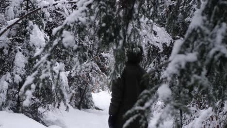 Young-man-with-black-jacket-stomps-through-a-snowy-forest