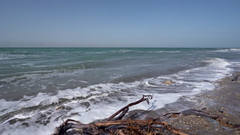 Sea-Side-of-a-Dead-Sea-with-Some-Wet-Tree-Branches-Stranded-on-a-Shore