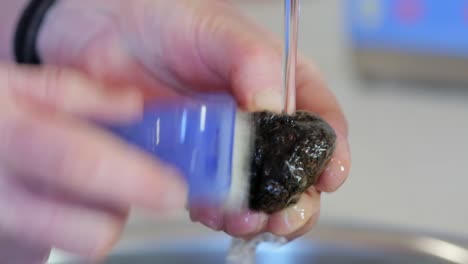 Washing-black-truffle-from-the-ground-in-Australia